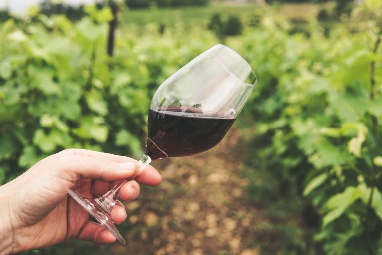 Conseils pour investir dans le vin : quels sont les plus pertinents ?