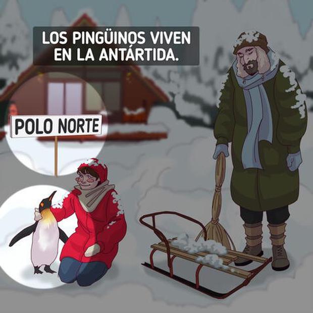 Solution au test visuel qui mesurera votre intelligence : voici l'erreur virale du pôle Nord (Photo : Genial.Guru)