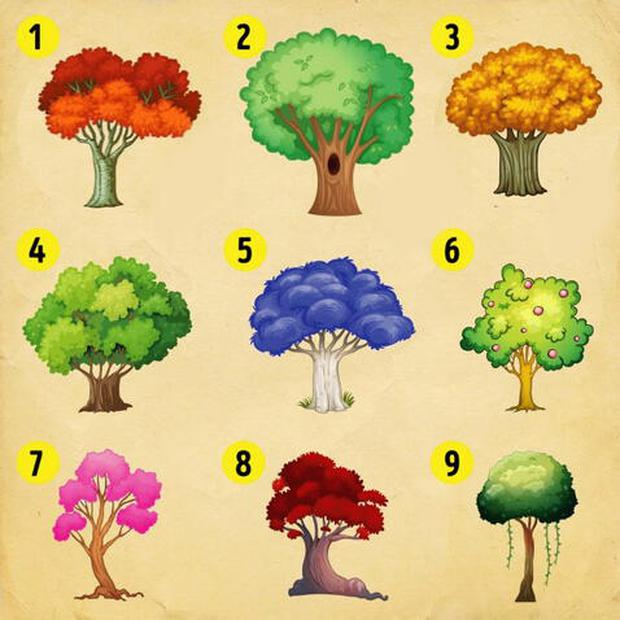 Choisissez l'un des arbres de ce quiz viral et il vous aidera à vous améliorer en tant que personne (Photo : Genial.Guru).