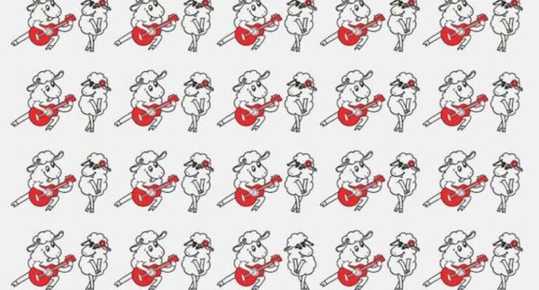 Regardez les moutons à bascule et trouvez quelle paire du puzzle visuel est différente de toutes les autres.