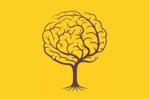 Cette illustration vous montre deux alternatives : l'arbre et le cerveau. Pour savoir de quoi vous avez l'air, dites-nous ce que vous avez vu en premier (Photo : MDZ Online).